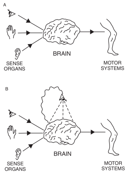 Screen Shot 2018-07-27 at 2.57.16 AM